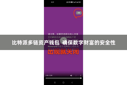 比特派多链资产钱包 确保数字财富的安全性