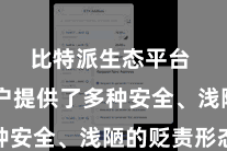 比特派生态平台  为用户提供了多种安全、浅陋的贬责形态