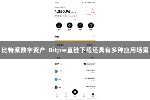 比特派数字资产  Bitpie直链下载还具有多种应用场景