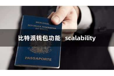 比特派钱包功能 scalability
